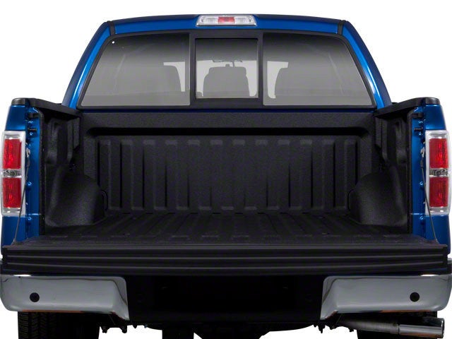 2010 Ford F-150 Base